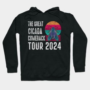 The Great Cicada Comeback Tour 2024 Vintage Hoodie